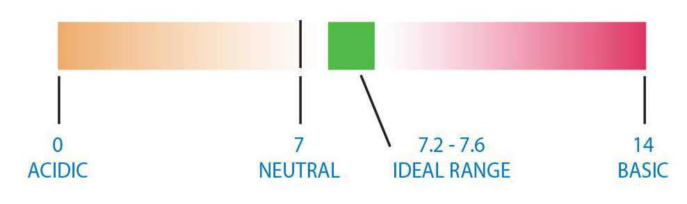 pH Balancing Chart